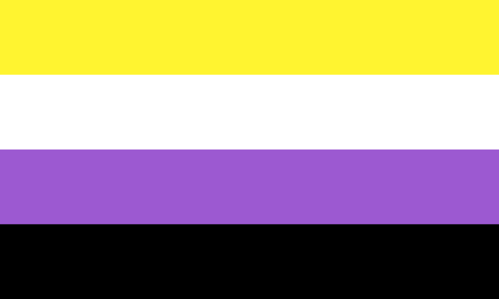 The non-binary gender pride flag, featuring 4 horizontal stripes - yellow, white, purple, black