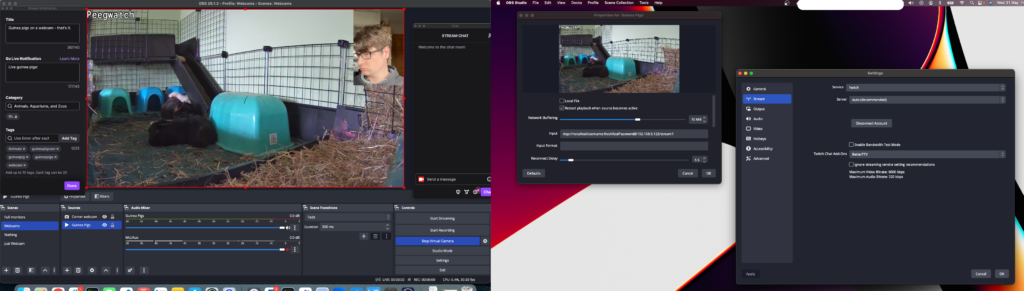 A guinea pig webcam stream previewed in OBS, with Twitch widgets positioned left and right. On the top right of the OBS preview, a cropped webcam view of James Sheasby Thomas' face is visible. On the second monitor, configuration for the RTSP camera feed and the Twitch integration is shown.