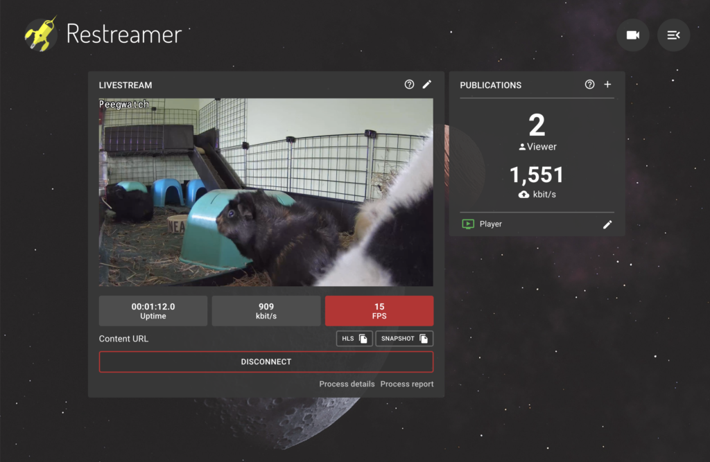 The Restreamer admin UI. A preview of the guinea pig webcam feed is shown in the middle of the screen, with uptime (1 minute, video bandwidth (909 Kbps) and framerate (15 FPS) shown below that. On the right, a panel shows that 2 users are viewing the stream and that 1551 Kb/s of upload bandwidth is being used.